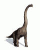 Animations - 071